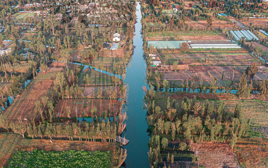 Heimat der Axolotl: Das Xochimilco-Gewässer