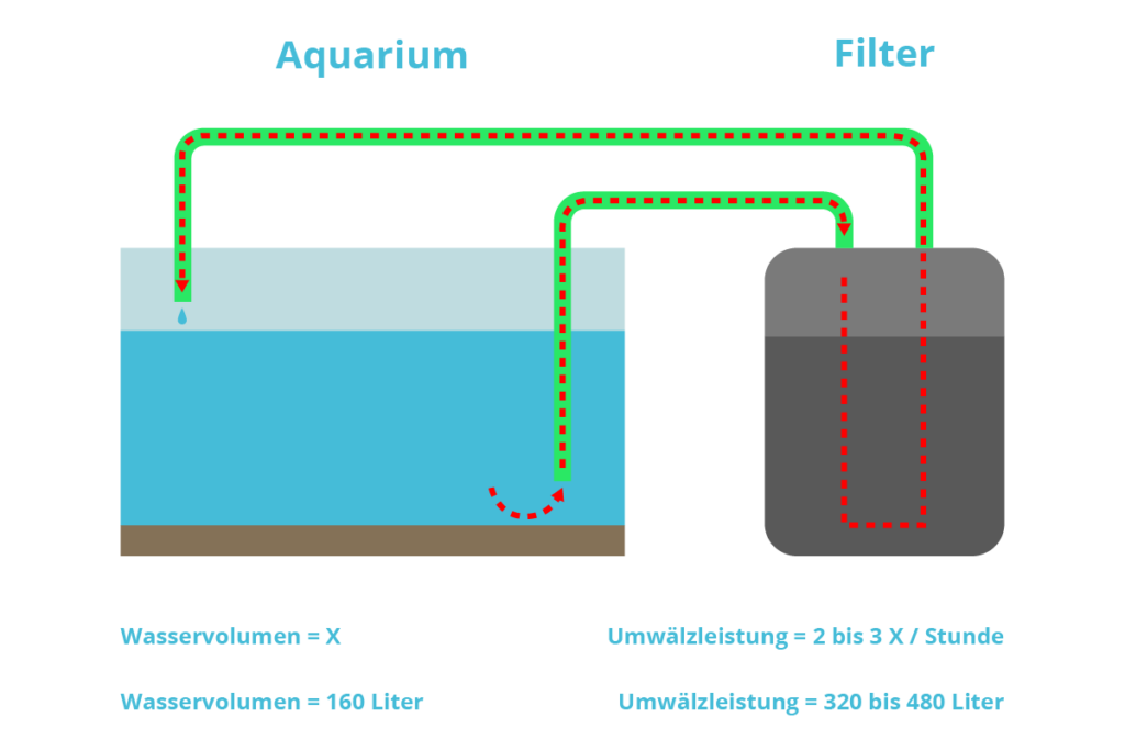 Aquarium Filter Umwälzleistung