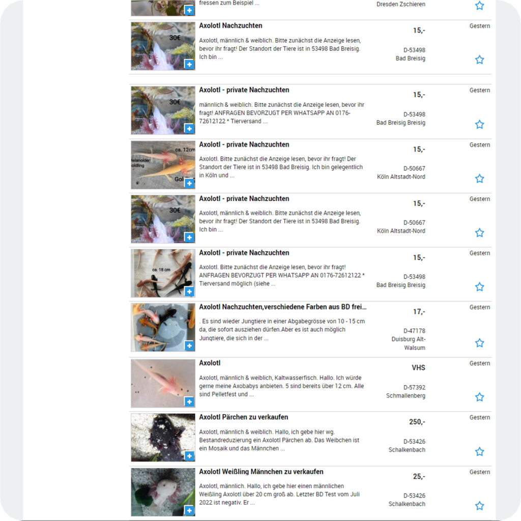 Ein Ausschnitt von einem Online-Marktplatz, auf dem Axolotl verkauft werden