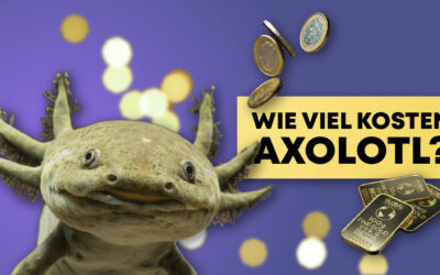 Wie viel kosten Axolotl?