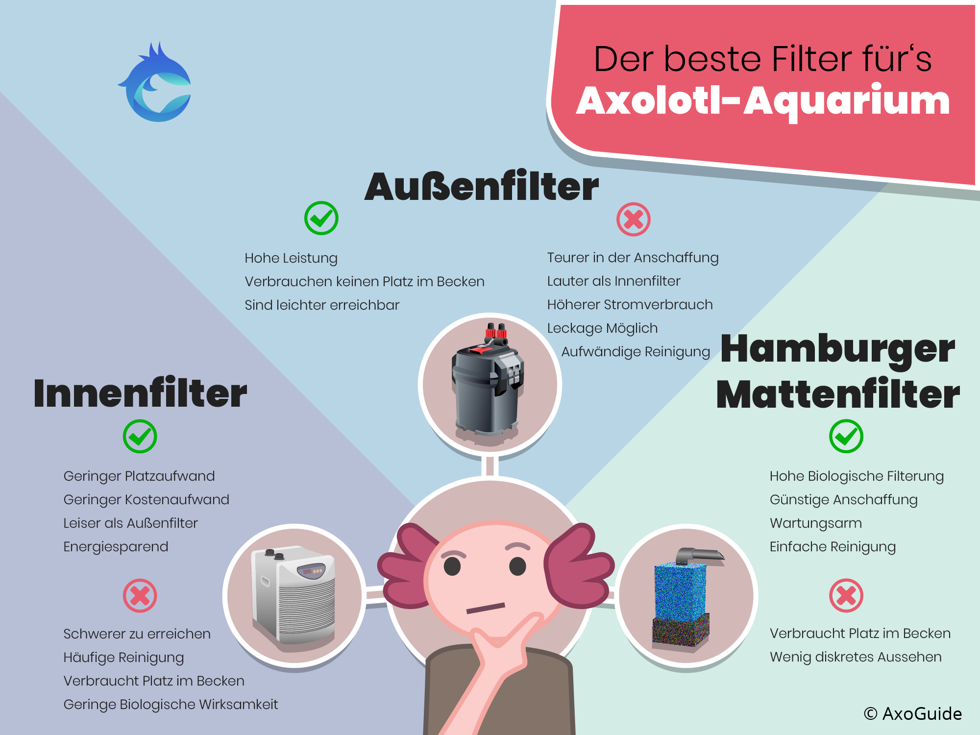 Infografik über Vor- und Nachteile von Filtern für Axolotl